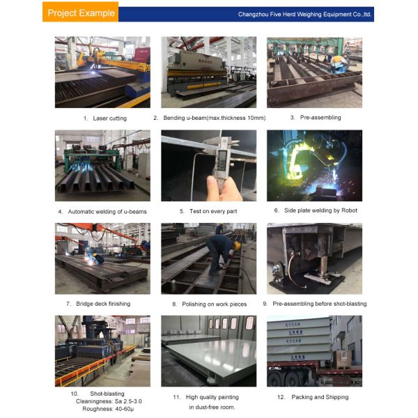 Customized ODM Support Electronic Digital Computing Platform Scale with LCD Display