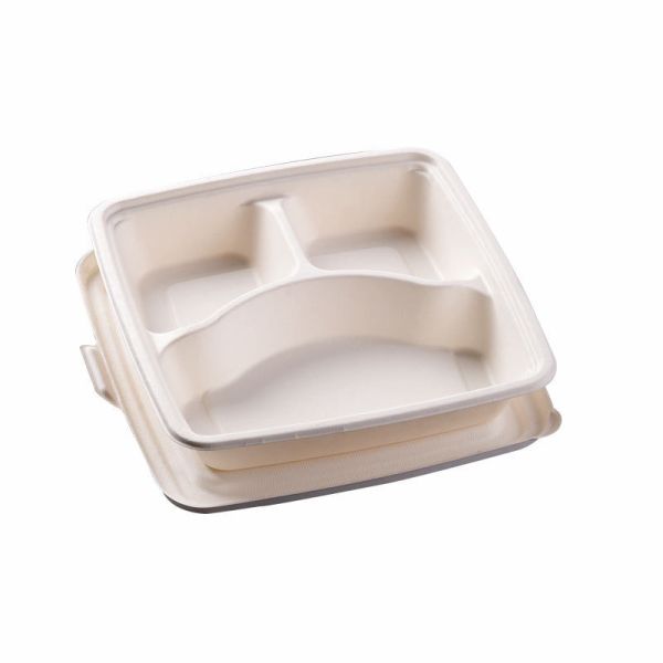 Biodegradable Disposable Pulp Tableware Packaging Single and Double Grid Lunch Box