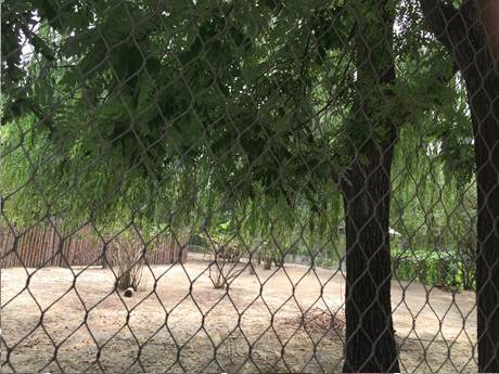stainless steel wire rope mesh for zoo