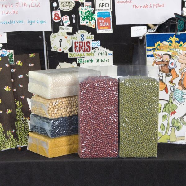 Multi Purpose Design Corrosion-proof Transparent PA PE Plastic Vacuum Packaging Bag for Food Storage
