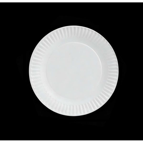 Heavy Duty White Paper Plates Compostable Disposable Tableware Perfect for Catering Food Trucks Festivals and Corporate Events