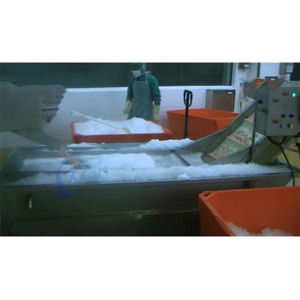 3P Catfish Shrimp Processing Machine Wear Resistant Multiscene