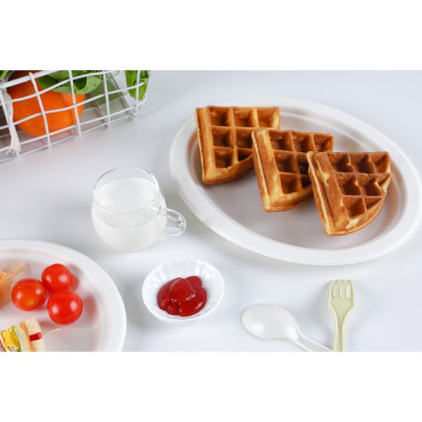 Disposable Dinnerware Set, Compostable Plant Based Cutlery Eco-Friendly Tableware
