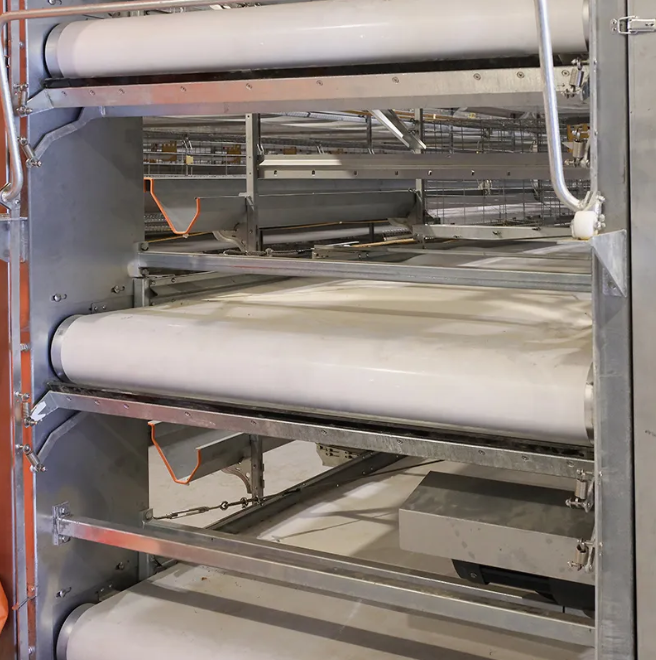4-Tier H-Type Fully Automatic Layer Cage Hot-Dip Galvanized Poultry Farming Equipment for 10,000 Birds