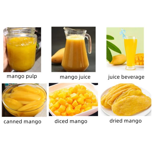 Innovative Mango Pulp Production Line For Fruit Vegetable Processing
