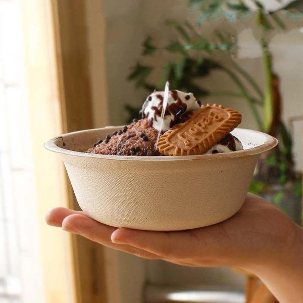 Customization for Eco-Friendly Disposable Tableware Bowl Made from Sugarcane Bagasse