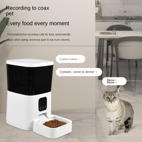 Cross-border Eco-Friendly Plastic Smart Pet Feeder for Dogs Automatic Timing Quantitative Feeding Battery-Powered Camping Puppy