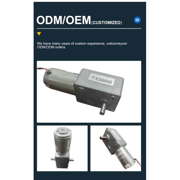 Customized High Power High Torque Slow Speed 2-500RPM Self-locking Function DC Worm Gear Motor