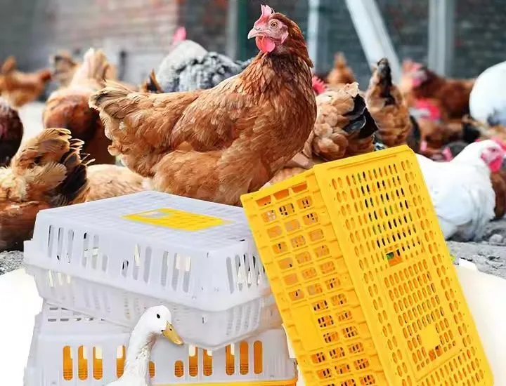 Rectangular Grid Stackable Poultry Carrier Crate Recyclable Chicken Shipping Crates
