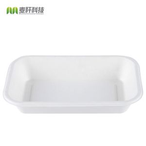 Biodegradable container, Disposable dining box for sugarcane pulp rectangular