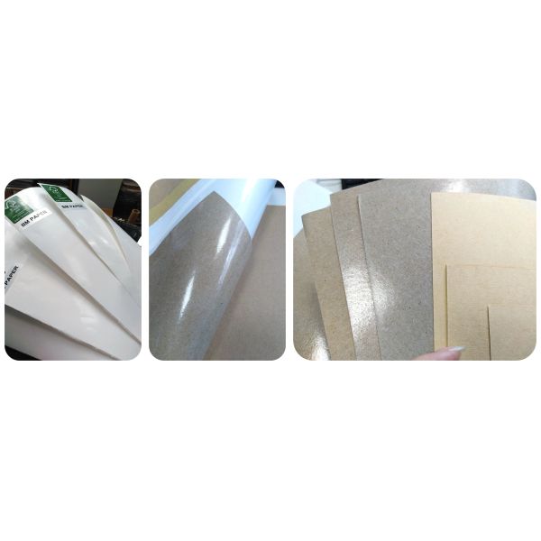Durable White & Brown Polyethylene Coated Kraft Paper For Surgar Packaging