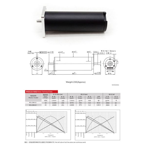 Ironless Coreless Bldc Motor 22mm 24V High Torque Power Tool 117W
