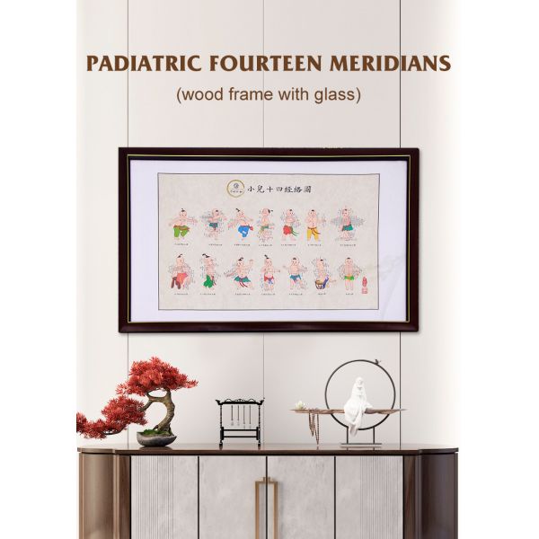 Rice Paper Scroll Chinese Medicine Charts Suitable Mirror Screen