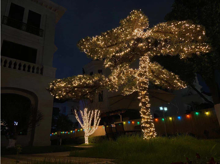 10 Meters Christmas Decorations Ornaments Light String 3500K IP65 2V