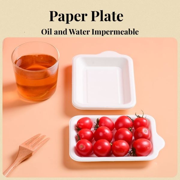Biodegradable Disposable Paper Plates for Cake/ Fruit/ Salad Initial Payment Required