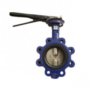 Quality Two Shaft Butterfly Valve Flange Type Ptfe U Type For Regulating Water Pressure for sale