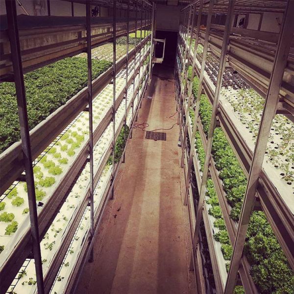 4FT Led Grow Light Timer