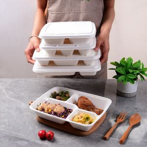 Biodegradable Disposable Pulp Tableware Packaging Eco-Friendly Solution for