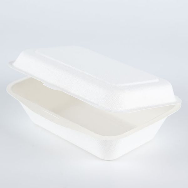 600ml sugar cane bagasse compostable takeout lunch box