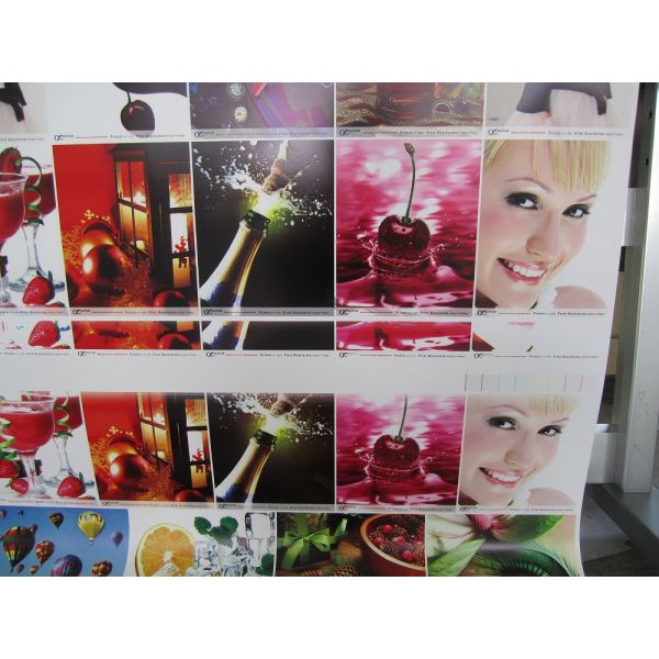 ALPHA DX5 Print Head Eco Solvent Printer China Supplier