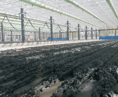 Continuous Carbonization Machine for Charcoal Production from Coconut Shell on Farms