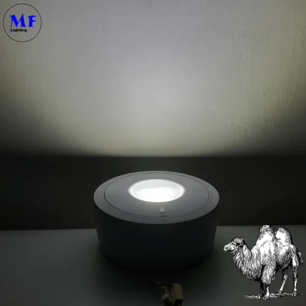 Panel Down Light LED Panic Emergency Escape Exit Sign Light IP65 Battery Backup Rechargeable Public School Hospital White