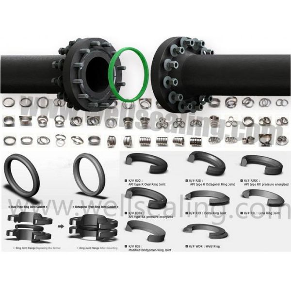 Annular BOP gaskets R24 OCT