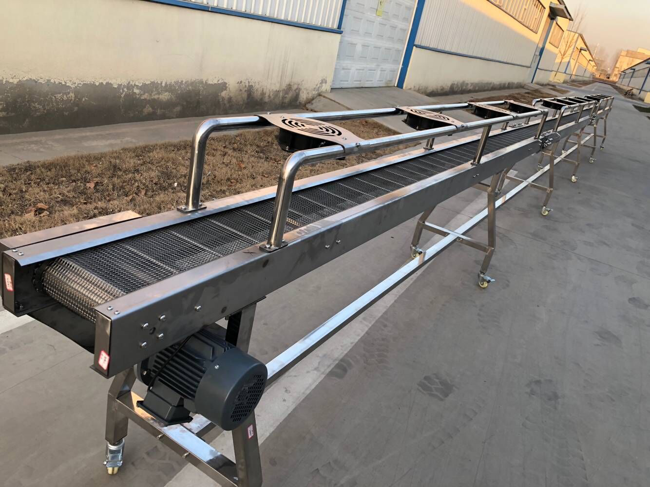 Siemens Motor Pet Treat Machine Bone Snacks Production Line