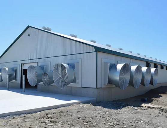 Modular Structure Closed Poultry House System with Adjustable Vents and Hot-Dip Galvanized Automatic Chicken Broiler Farm Equipment