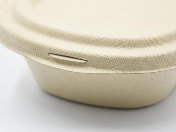 1000ml Biodegradable Straw pulp food container 2 compartments paper food tray with PP lid