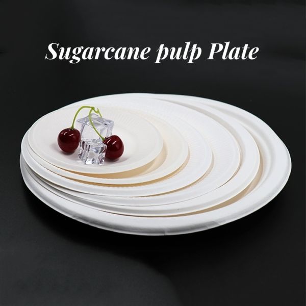 US Biodegradable Sugarcane Bagasse Tableware Plate Carry-out Tableware Multi Color