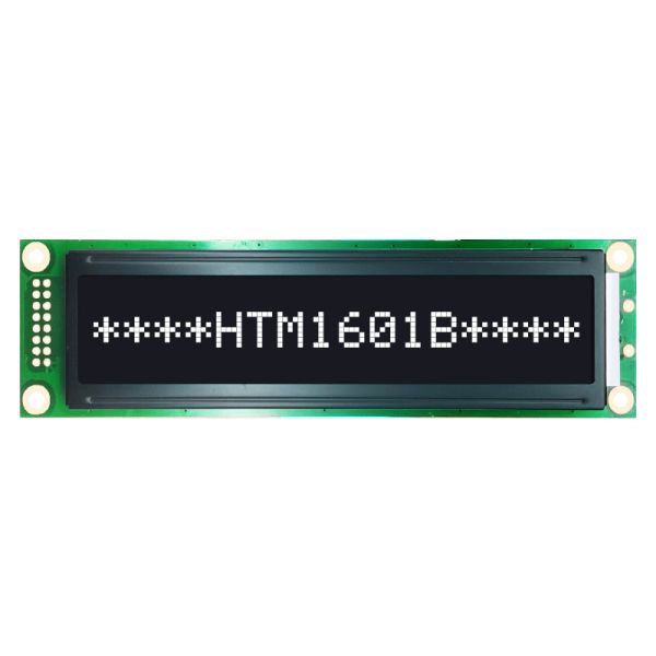 16x1 Monochrome LCD Display Module , S6A0069 Small LCD Module HTM1601B