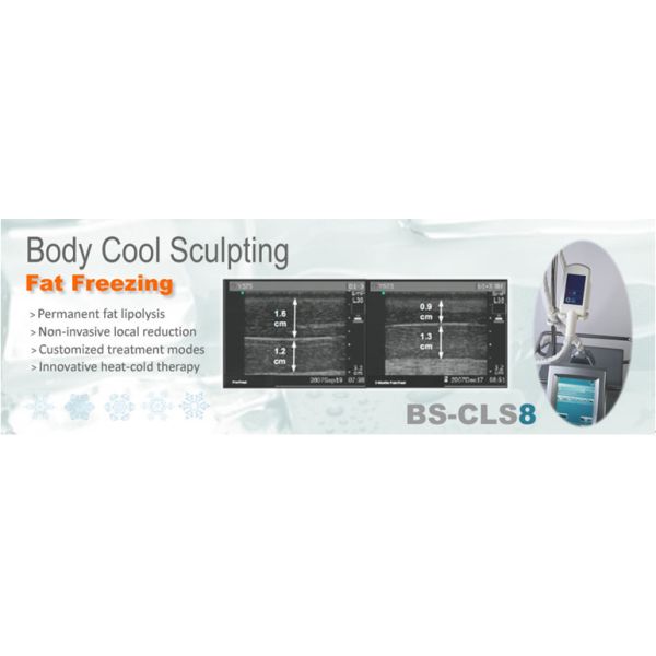 Cryolipolysis Fat Freeze Slimming Machine