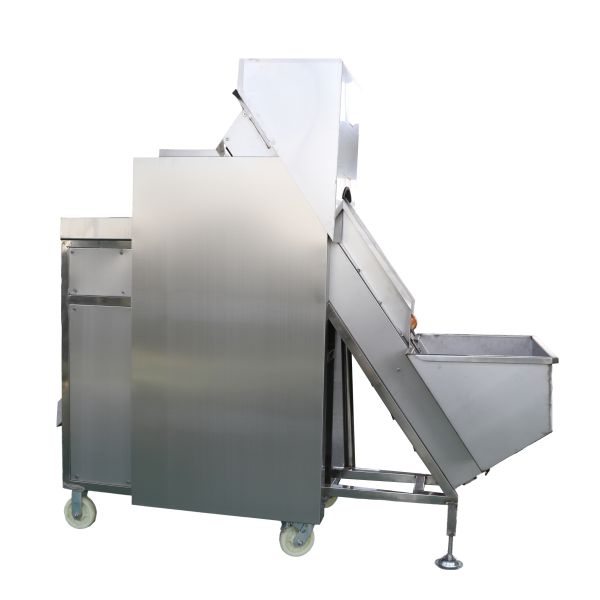 Advanced Onion Garlic Peeling Machine for Processing Types Vegetable Process Equipment