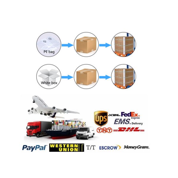 International Socket 5A IP33 Universal Power Adapter Non Condensation