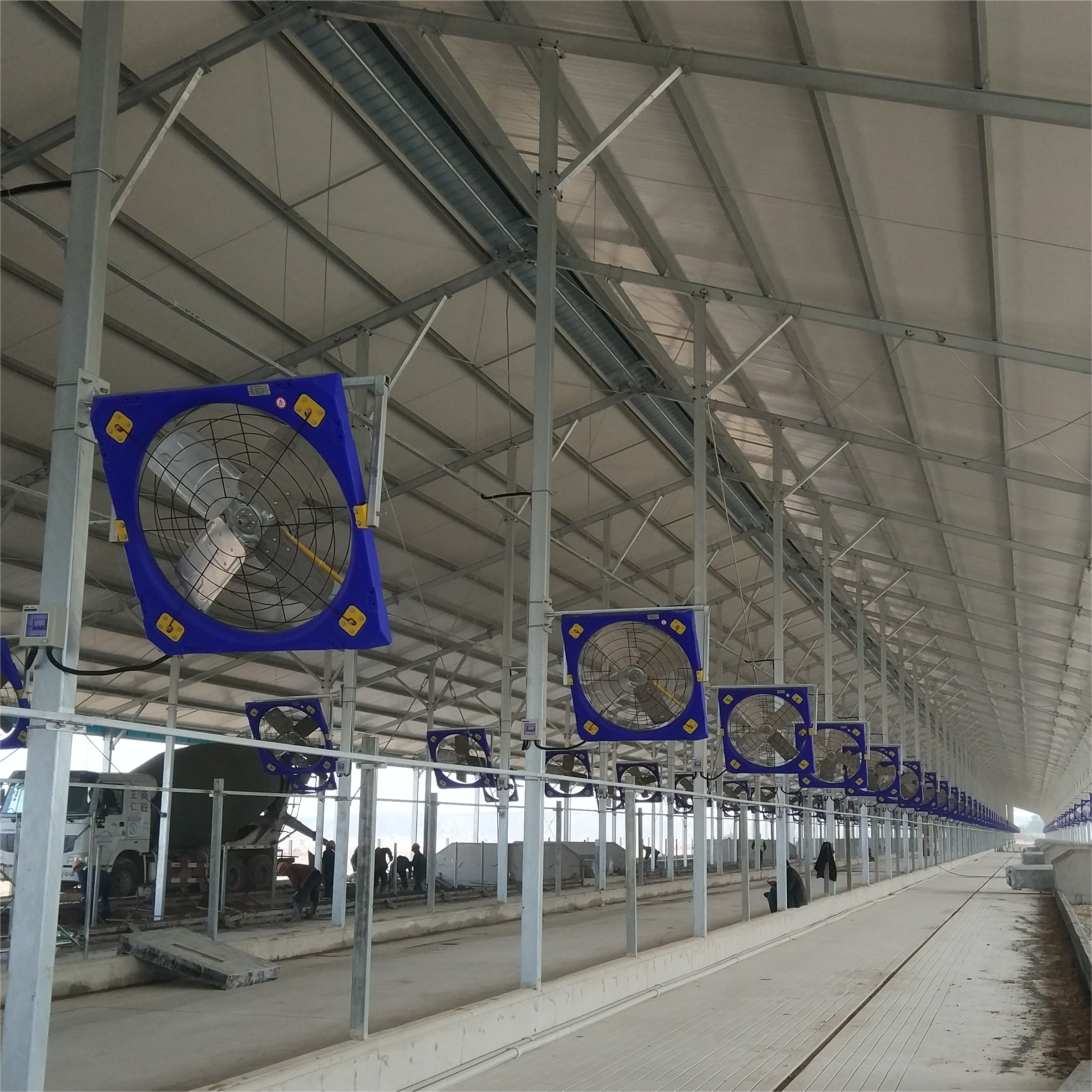 Experience Optimal Air Circulation With Livestock Ventilation Fans