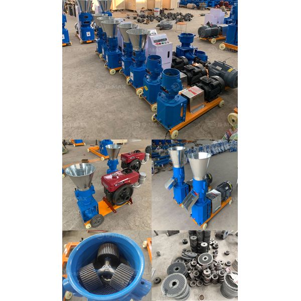 Small Farm Poultry Feed Processing Machinery with Adjustable Pellet Size 1050*360*590mm