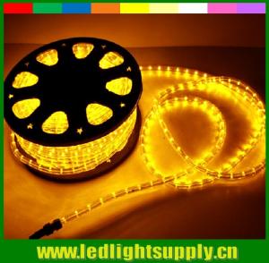 China rope light connector 110V 2 wire led rope  festival christmas lights on sale