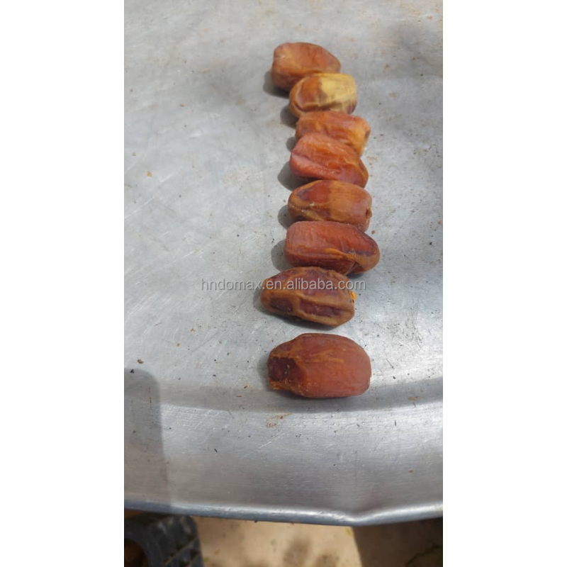 High Speed Cherry Core Pitter Olive Date Core Pitting Machine for Automatic Operation