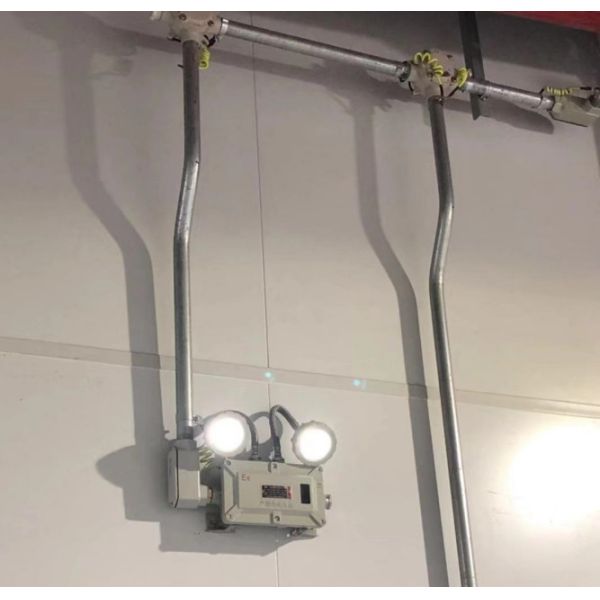 2*3Watts 5500-6500K IP66 explosion proof emergency lights Zone 1, 2 & Zone 21, 22