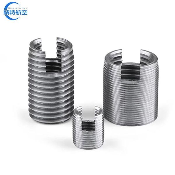 Tanged Thread Inserts Brass Insert Stainless Steel SS304 Self-Tapping Threaded Inserts with Fine/Coarse Thread Type