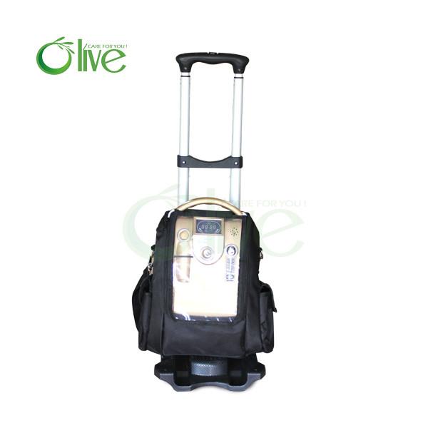 Buy 1L home use oxygen concentrator with battery at wholesale prices