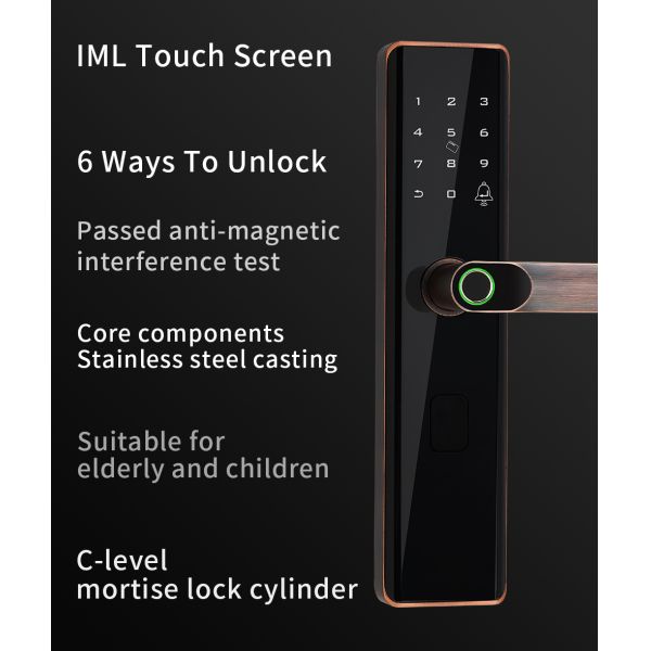 RoHS Tuya Smart Fingerprint Door Lock With Password Memory Card