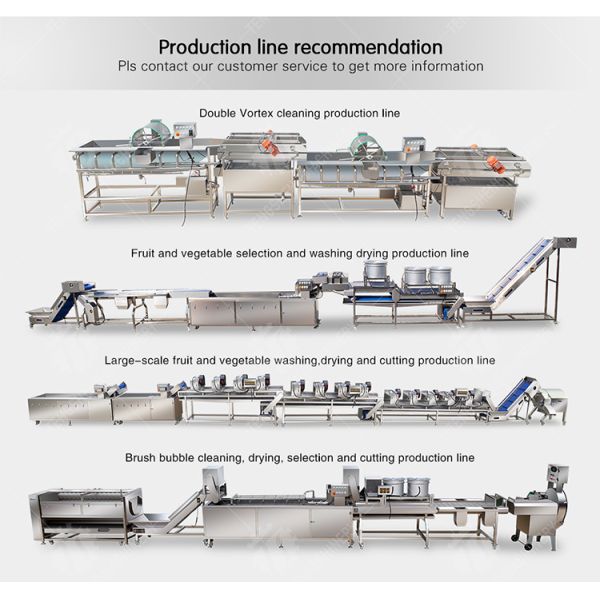 Multifunctional Fruit Washing Machine 3.8KW Vegetable Blanching Equipment
