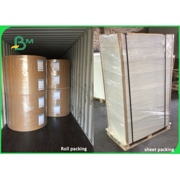 Smooth White Coated 270gsm Back Grey Duplex Board 1160mm Roll