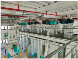 Flap Belt Bucket Elevator 10t/H With Customizable Feeding Interface