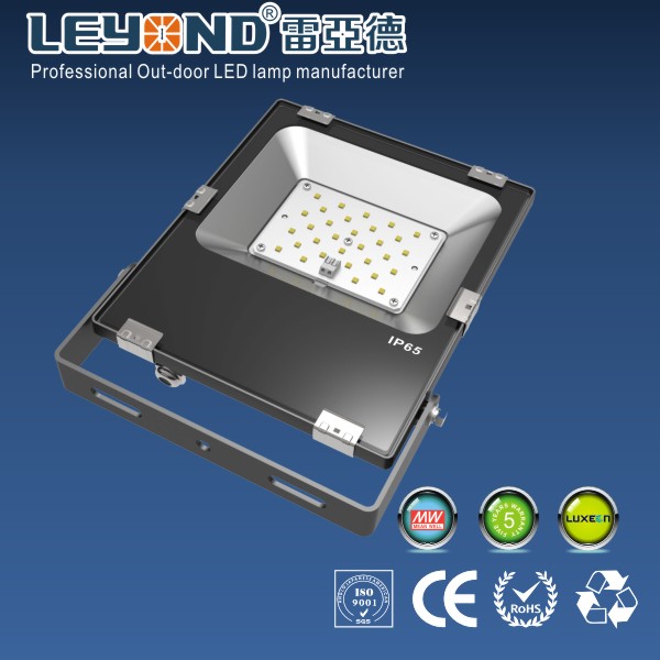 Chips 30W Waterproof LED Flood Lights For Outdoor use