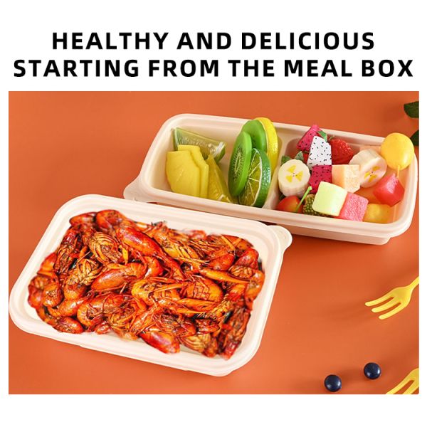 Microwavable Waterproof Biodegradable Takeaway Boxes OEM Service