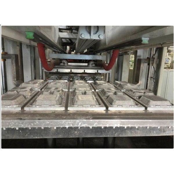 Fast Food Box / Disposable Tableware Making Machine Drying in Mould 7000Pcs / H