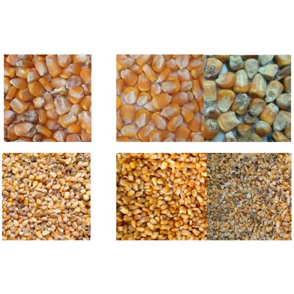 Intelligent CCD Color Sorter Pepper Grading Machine High Efficiency